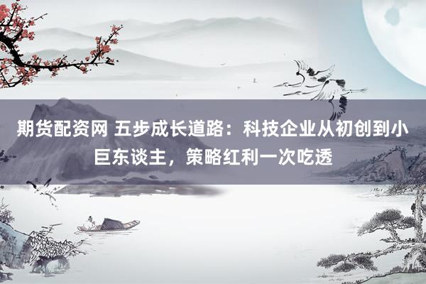 期货配资网 五步成长道路:科技企业从初创到小巨东谈主,策略红利一次吃透